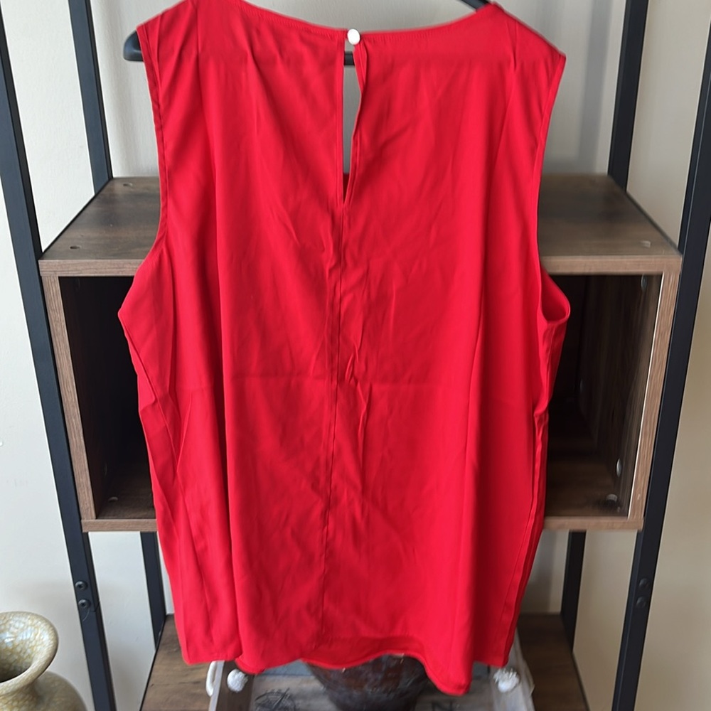 The limited - L- brand new with tags has a lovely overlay, pleaded in the front - Picture 4 of 5